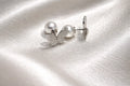 2-in-1 Diamond &amp; Pearl Earrings Allure Design